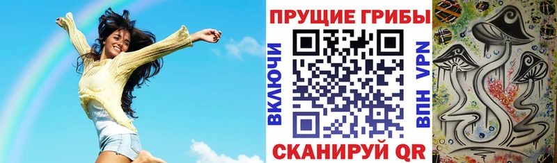 Купить закладки Надым Галлюциногенные грибы Cubensis